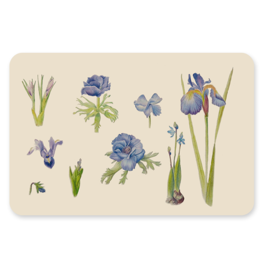 Postkaart - Blauwe bloemen