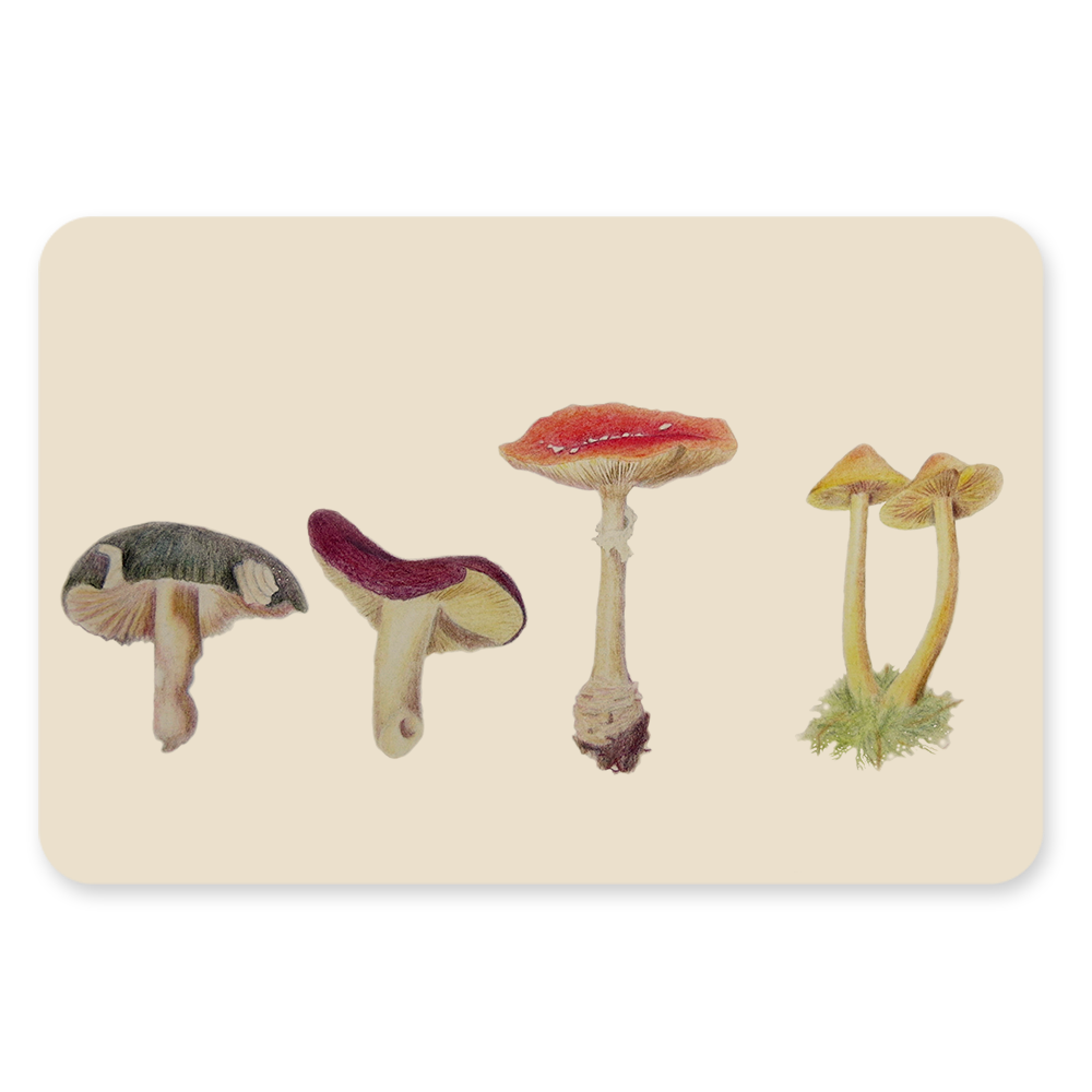 Set - Herfst