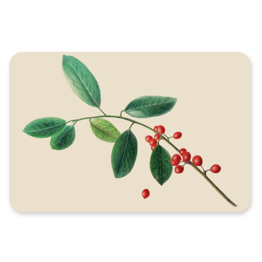 Kerstkaart - Hulst