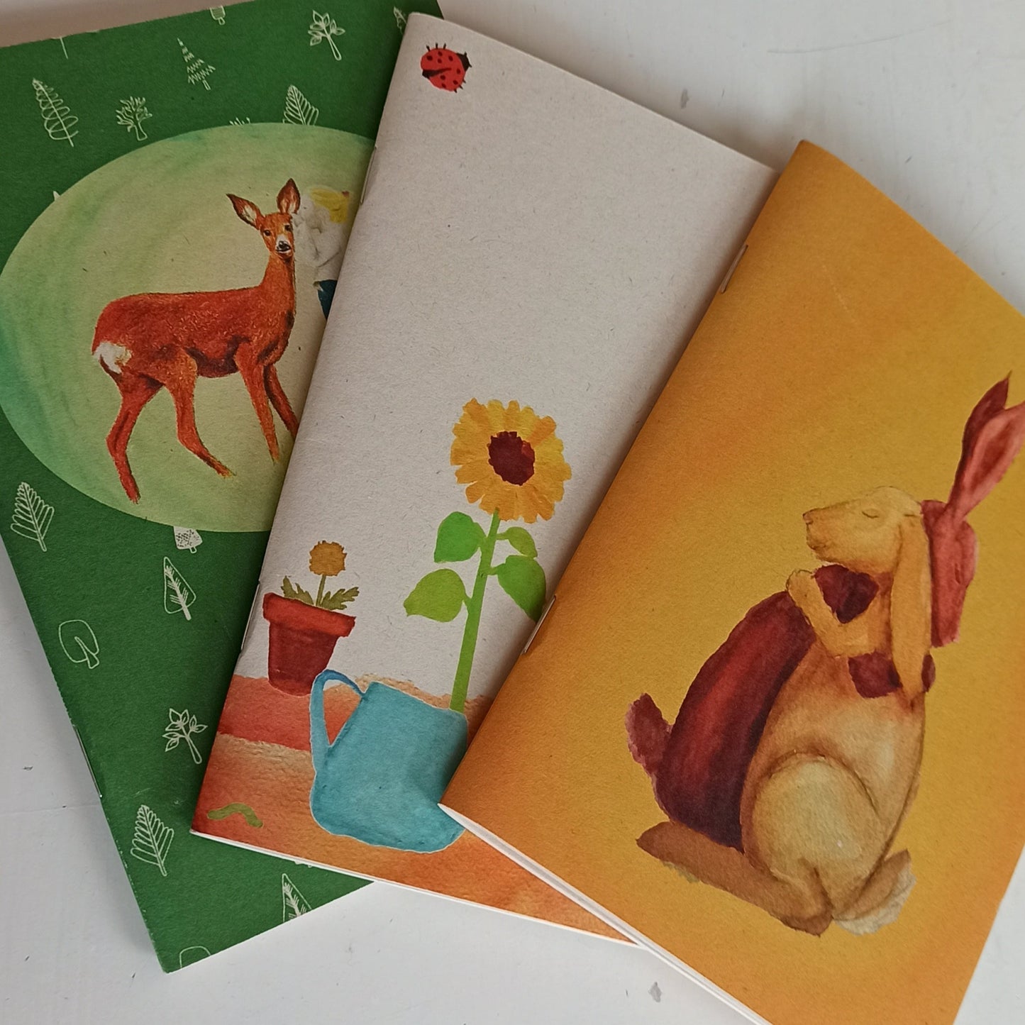 Set van drie schriftjes