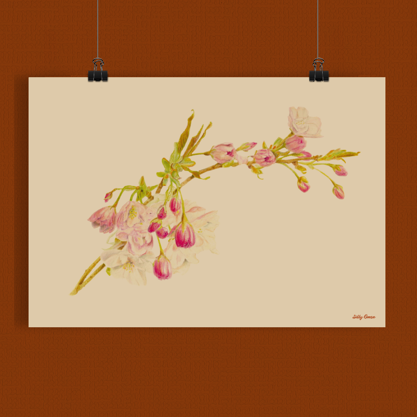 Art print A3 - Prunus