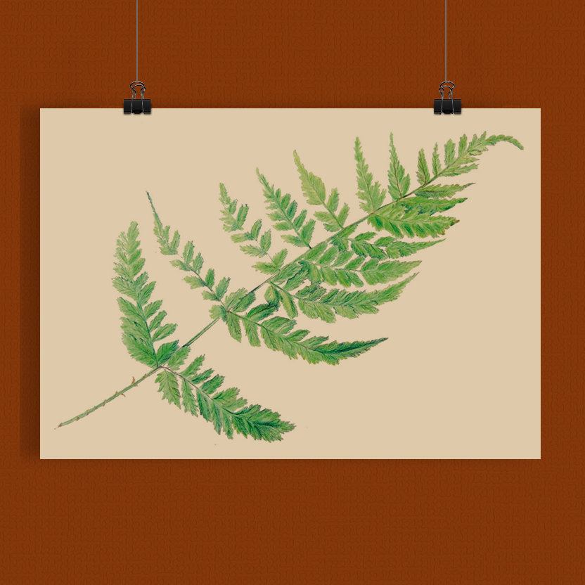 Art print A3 - Varen