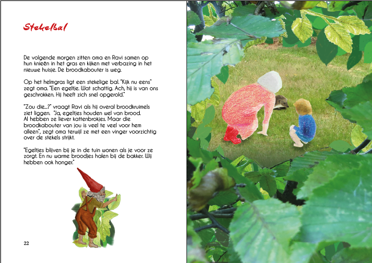 Boek - Kabouter aan zee