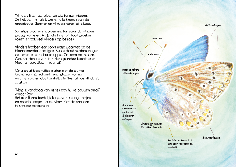 Boek - Kabouter aan zee