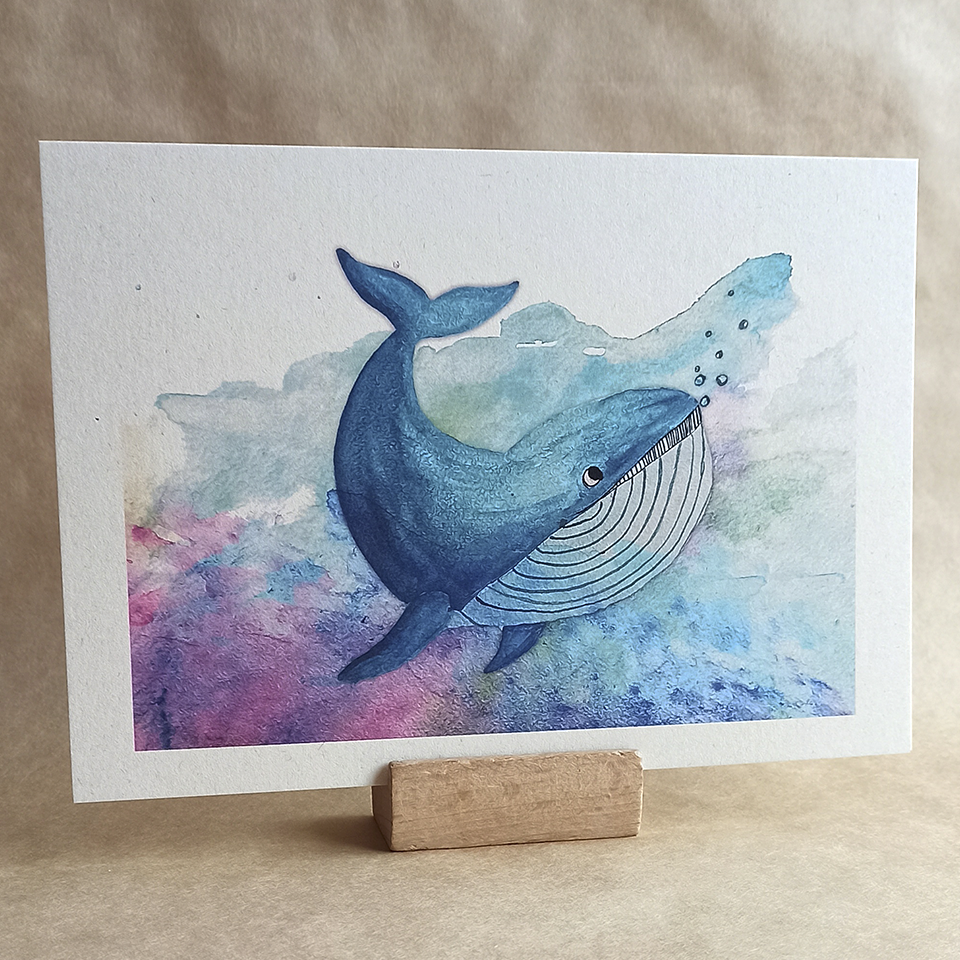 Art print A5 - Walvis