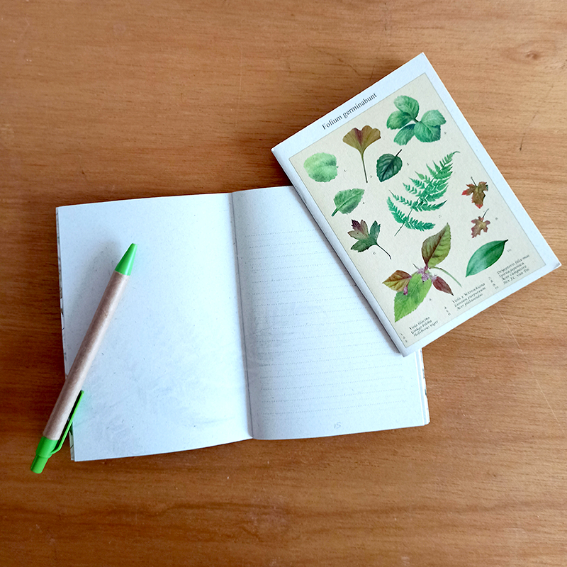 Schriftje - Folium germinabunt