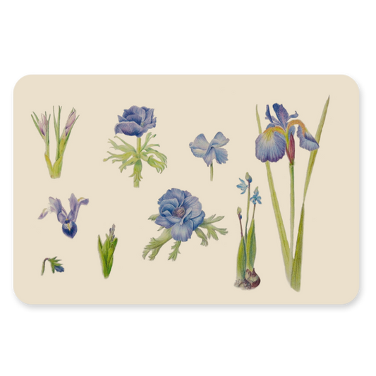 Postkaart - Blauwe bloemen