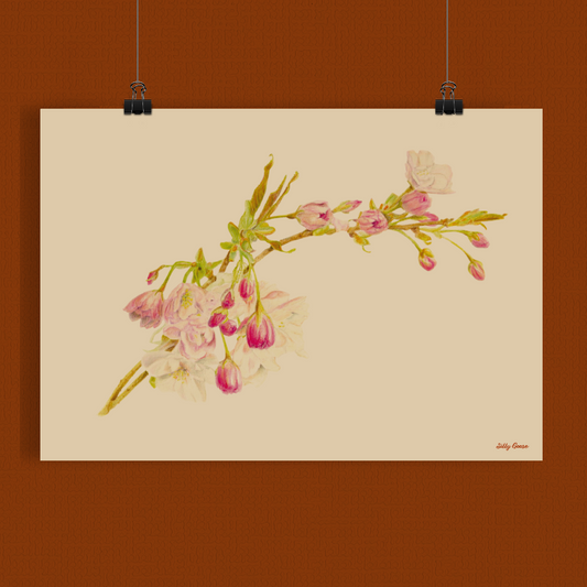 Art print A3 - Prunus