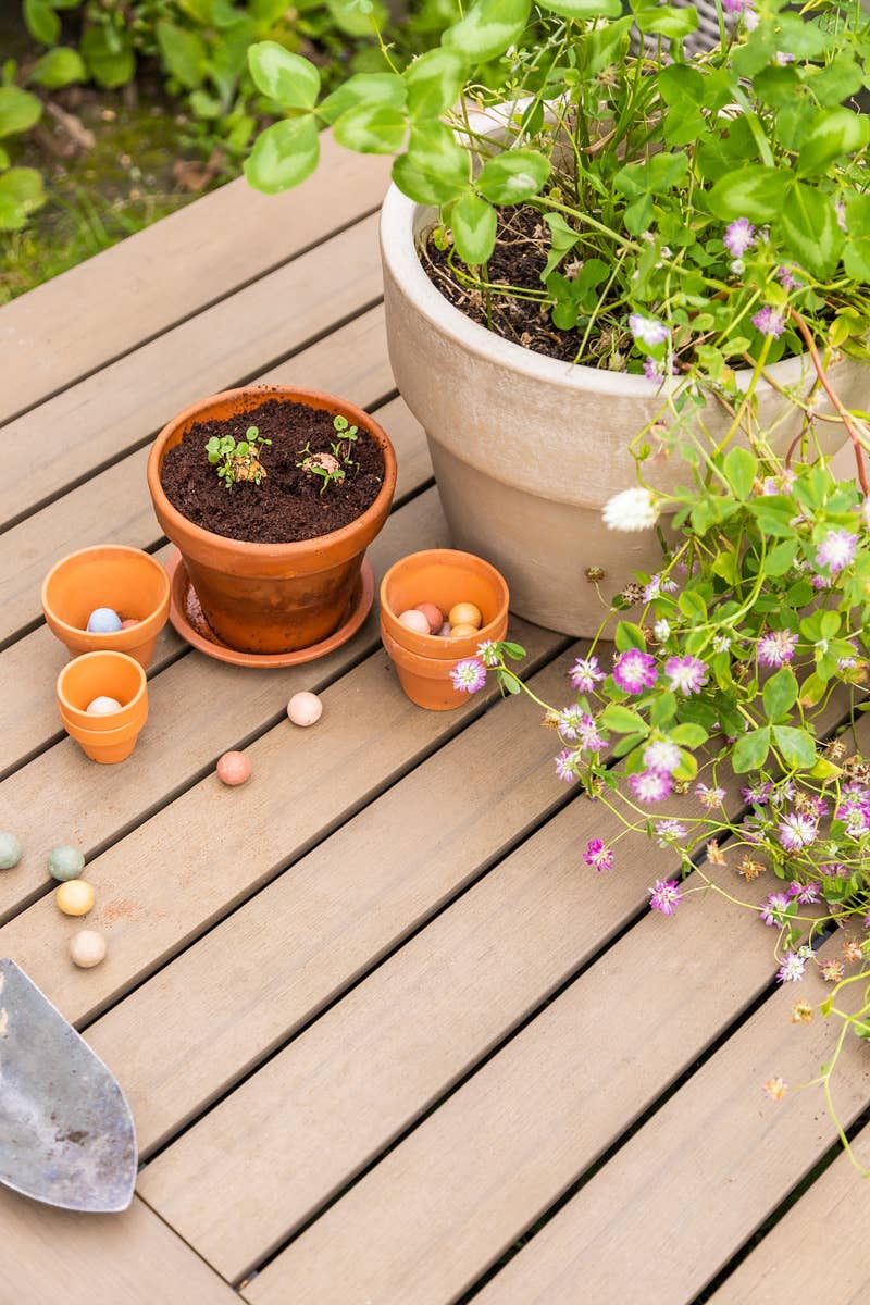 Geschenkdoos 'Thank You' – bio Tuin- en Keuken Kruidenmix