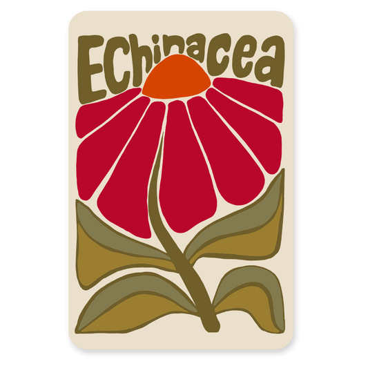 Postkaart - Echinacea nouveau