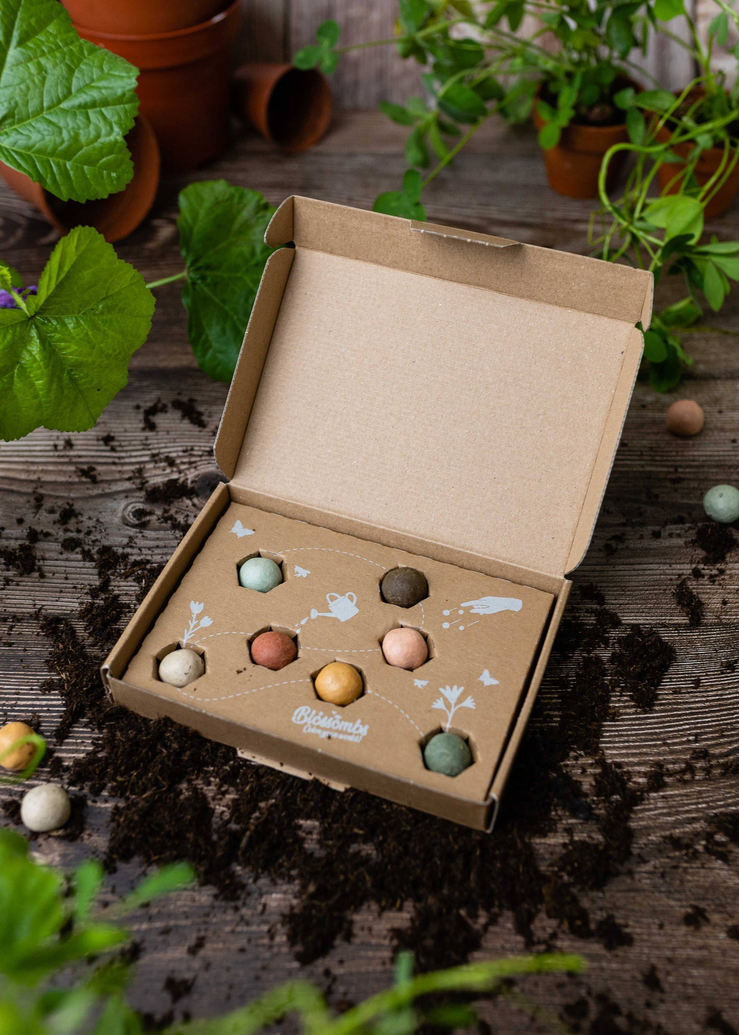 Kleine biologische geschenkdoos met 7 zaadbommen